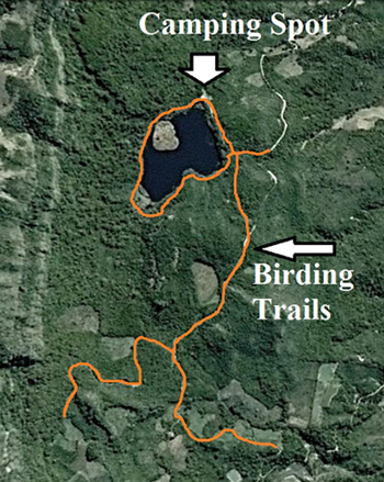 Laguna Esmeralda birding trails